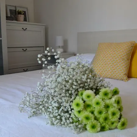 Апартаменты Apartman Centre Luka *