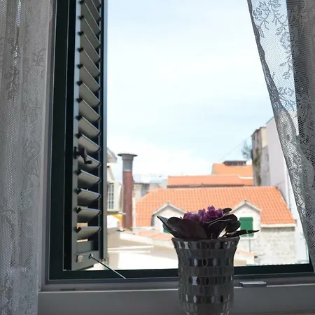 Apartman Centre Luka شقة